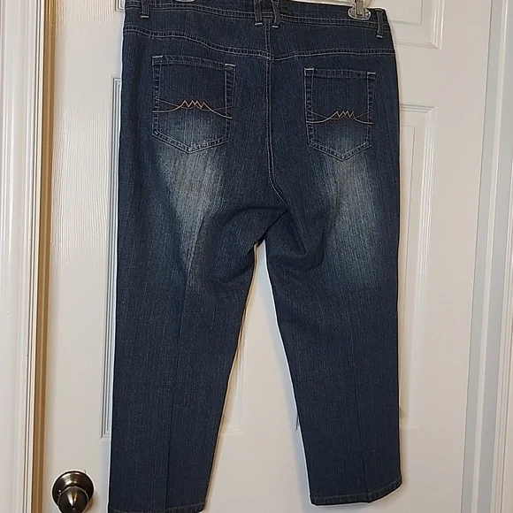 Monroe And Main Womens Blue Denim Capri Plus Size Jeans Size 16 - Picture 5 of 12